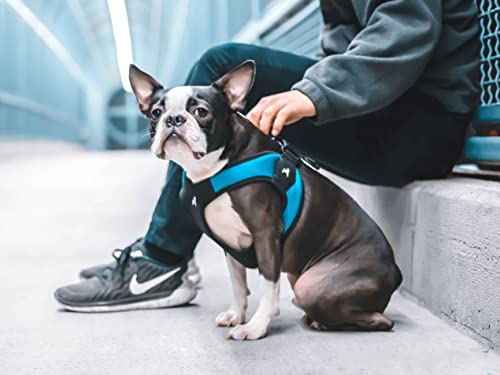 Escape Free Easy Fit Dog Harness (Small chest (16~19.25") / Turquoise)