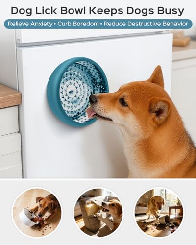 Dog Lick Bowl for Dogs S (Large / BlUE)