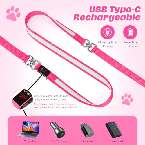 Light Up Dog Leash (Pink / 6FT)