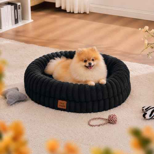 Orthopedic Dog Bed (Black / M(30*24*7))