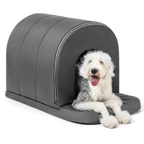 Orthopedic Dog Bed House (41"L x 27"W x 28"Th / Charcoal)
