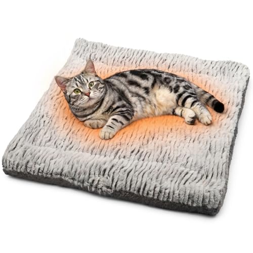 Self Warming Cat Bed