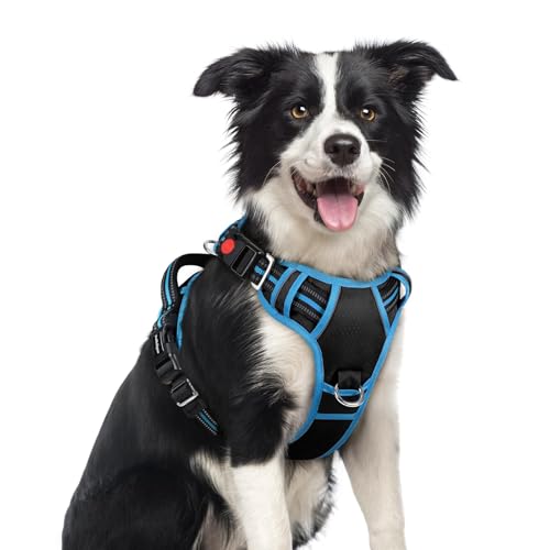Dog Harness Medium Sized (Black & Blue / Medium)