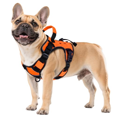 Orange Tactical Dog Harness for Small Dogs (Orange / Small: 15-30 lbs (Chest:20-26",Neck:15-18"))