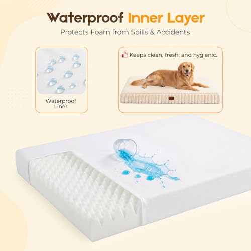 Orthopedic Dog Bed for Large Dog (Cream / 36"x27"x3")