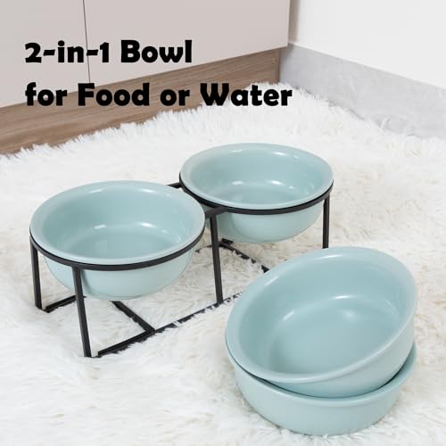 Ceramic Elevated Dog Bowl Set (Green / S × 2)