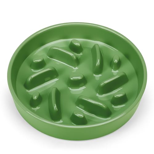 Ceramic Slow Feeder Dog Bowl (Maze - Green / 2 Cups)