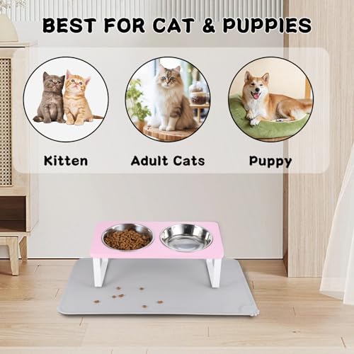 Upgraded Elevated Cat Bowls with Food Mat