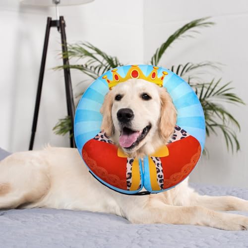 Dog Cone Alternative After Surgery Donut Collar (Sky Blue King / L(Neck 16"-18"))