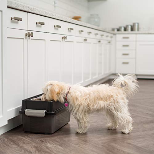 Elevated Dog Bowls 9" H (Medium - 9"H w/ 2 Bowls / Smoke)