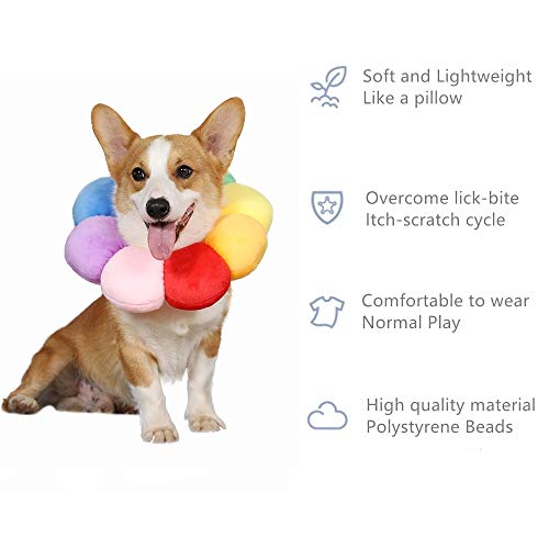 Pet Adjustable Recovery Collar (L)
