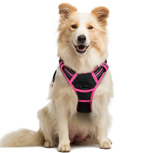 Dog Harness No Pull Medium Sized with 2 Leash Clips (Medium / Black & Hot Pink)