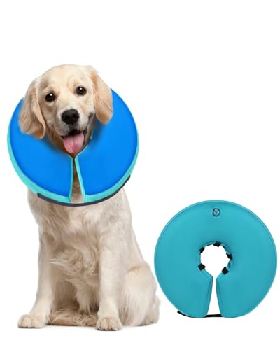 Inflatable Dog Cone (GreenBlue / L+(11"-14"))