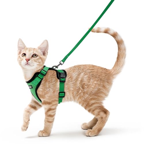 Cat Harness and Leash Set (S / Grass Green)