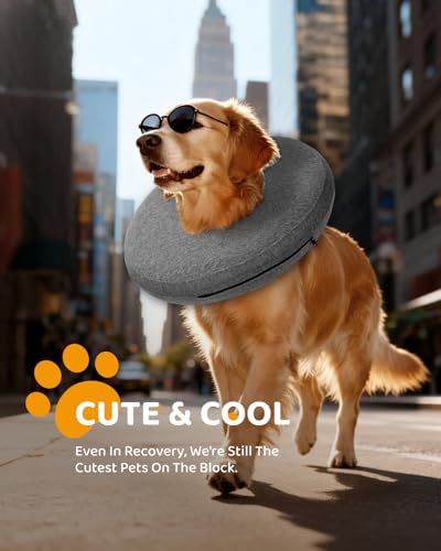 Inflatable Dog Cone (AshGrey / XS(6"-9"))