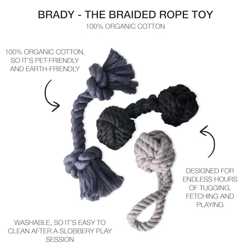 Brady The Rope Tug Toy 3 (Gray Ombre / One Size)