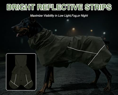 Dog Raincoat with Hood (Green (Mesh Lining) / XL)