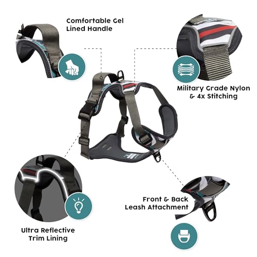Embark No Pull Dog Harness (S / Maverick)