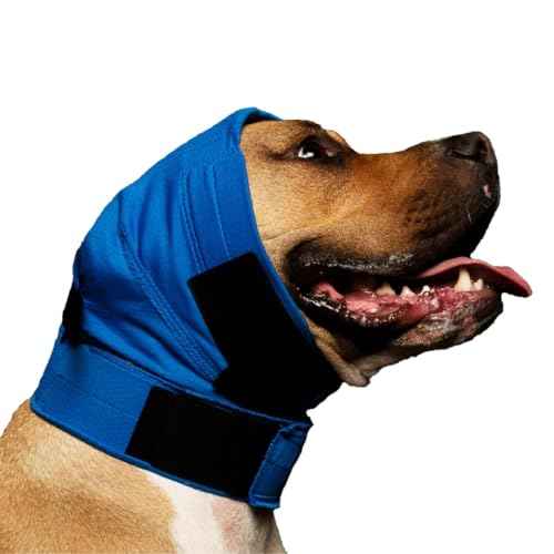 Ear Wrap Blue Pinpoint Mesh (Blue / X-Large)