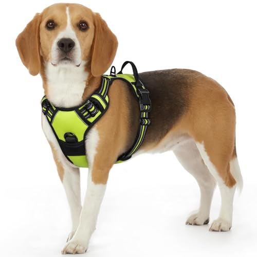 Dog Harness for Small Dogs (Small / Green)