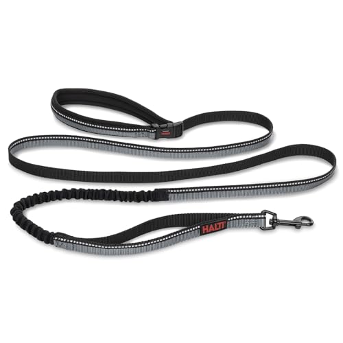 Active Dog Leash (Large / Black)