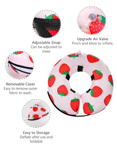 Inflatable Dog Cone (Strawberry / M(12"-15"))