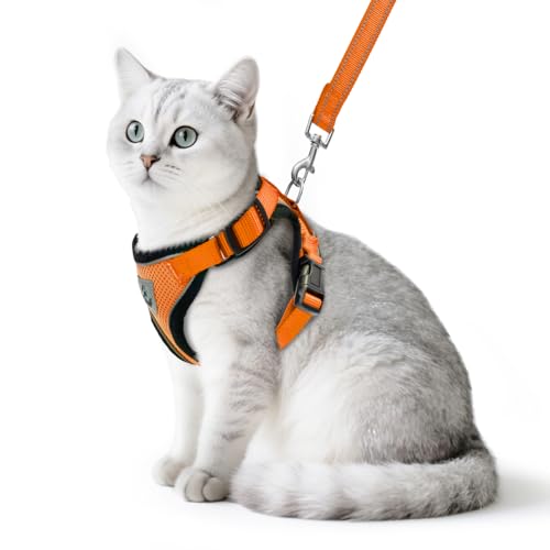 Cat Harness and Leash Set Escape Proof Reflective Cat Walking Harness Adjustable Soft Breathable Mesh Vest for Small Pets (M (NECK 11"-13.7", CHEST 16"-20") / Orange)