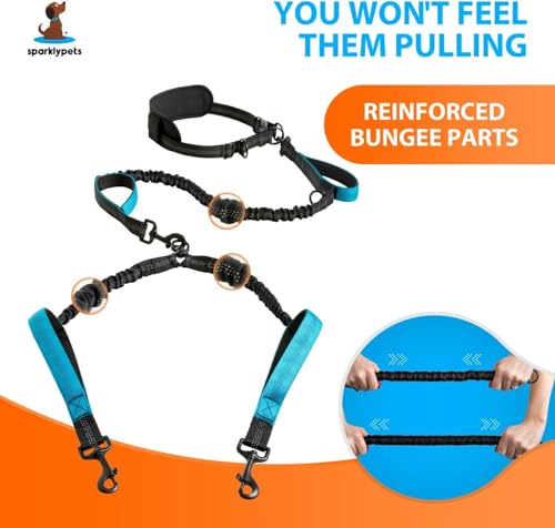Hands Free Dual Dog Leash (Purple / 2 dogs M/L)