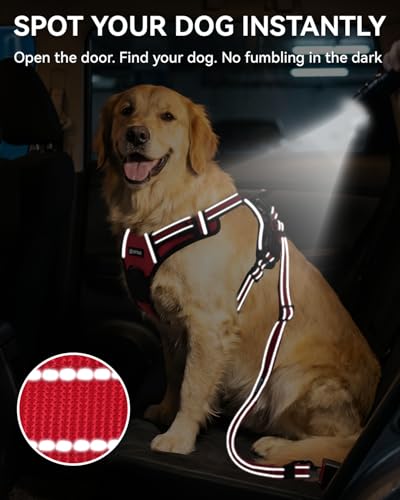 3-in-1 Bungee Dog Seat Belt for Car, Medium and Large Dogs, Red (Red / (21.6-31.5) inch)