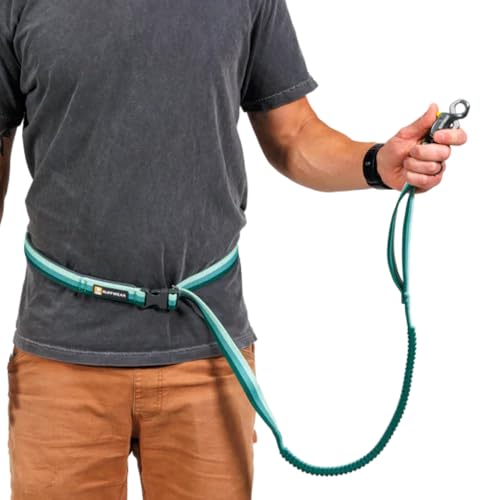 Roamer Lock Bungee Dog Leash (Orion Blue / 7.3'-11')