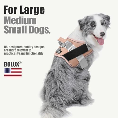 Dog Harness No (X-Small (Pack of 1) / RosePink)