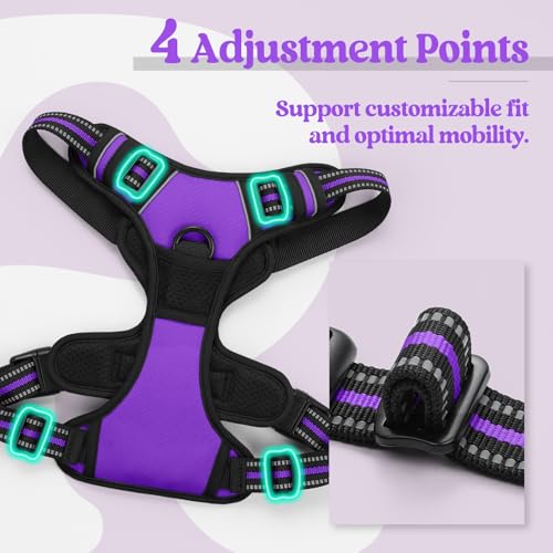 Dog Harness No Pull Medium Sized with 2 Leash Clips (Medium / Purple)
