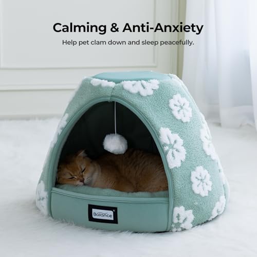 Cat Beds for Indoor Cats (19"L x 19"W x 16"Th / Green)