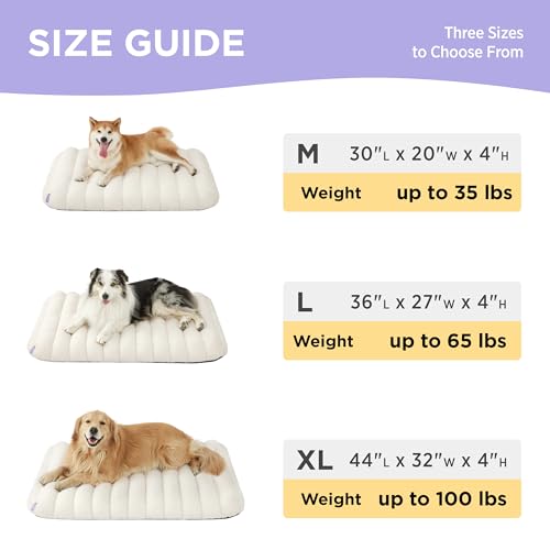 Cute Orthopedic Dog Bed Large Sized Dog (36"L x 27"W x 4"Th / Cream)