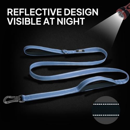 6FT 1IN Heavy Duty Dog Leash for Large Dogs with 2 Padded Handles (Ultramarine / 1 in x 6 ft)