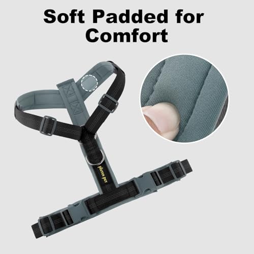 No Pull Dog Harness (XS / Black)