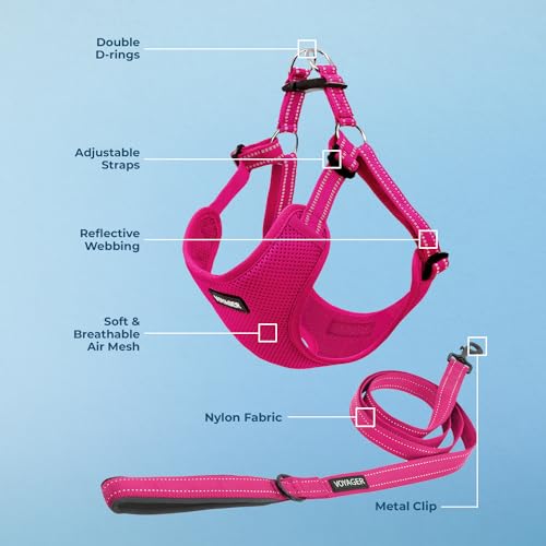 Voyager Adjustable Step (Harness Leash Set (Fuchsia) / M)