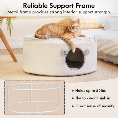 Enclosed Cat House for Indoor Cats