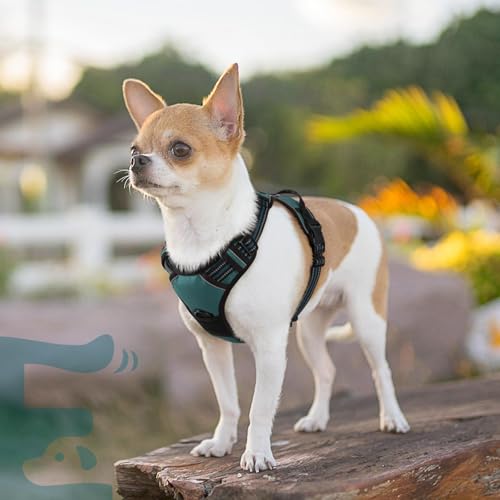 Dog Harness for Small Dogs (X-Small / Dark Green)