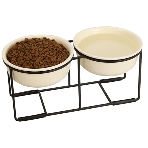 Elevated Ceramic Dog Bowl Set (Beige / L × 2)