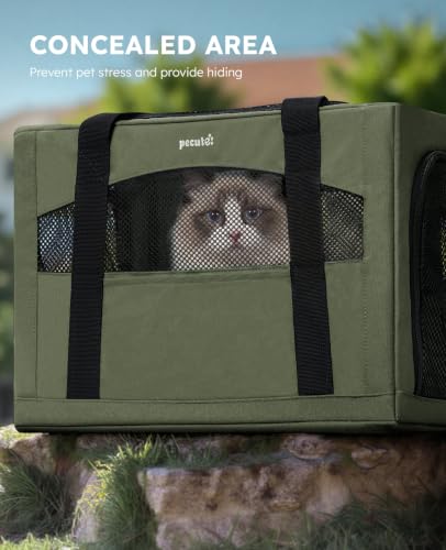 Cat Carrier Stable (Green / 18.5"L x 12.9"W x 11.8"H)