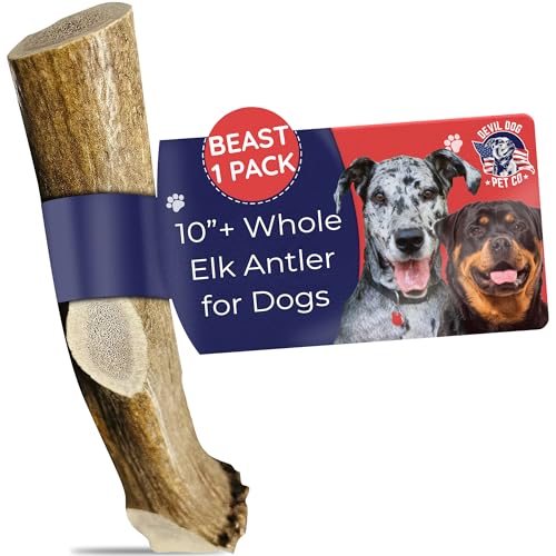 Whole Elk Antlers for Dogs (WHOLE - Beast - 1 Pack)