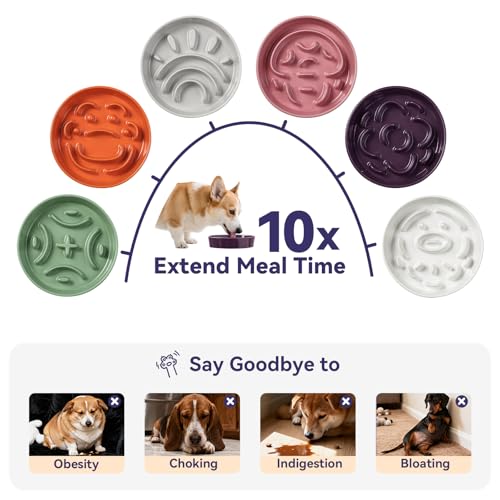 Ceramic Slow Feeder Dog Bowl (Grey / Medium without Stand)