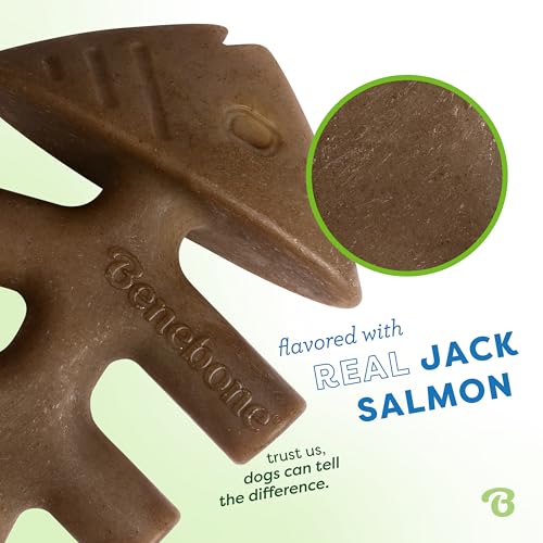 Fishbone Durable Dog Chew Toy for Aggressive Chewers (REAL Jack Salmon / Small)