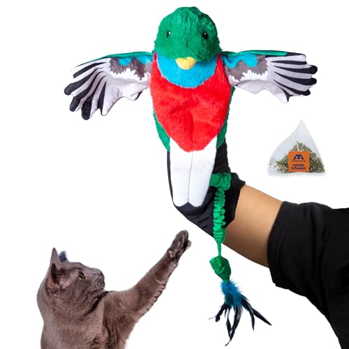 Pupr Pals Cat Wrestling Glove (Large / Quetzal + Catnip)