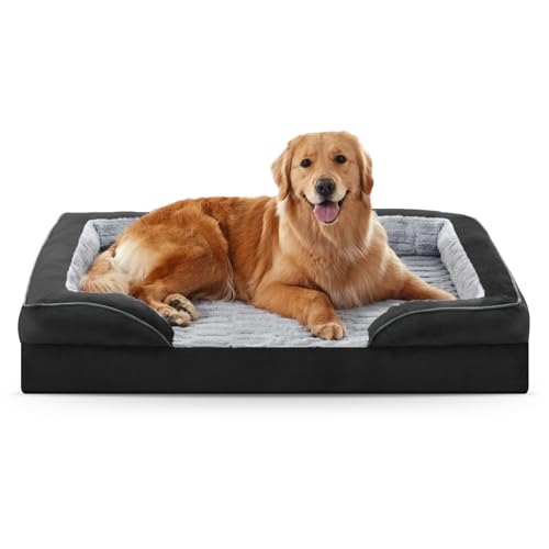 Orthopedic Supportive Large Dog Bed (42.0''l x 32.0''w x 6.5''th / Black)