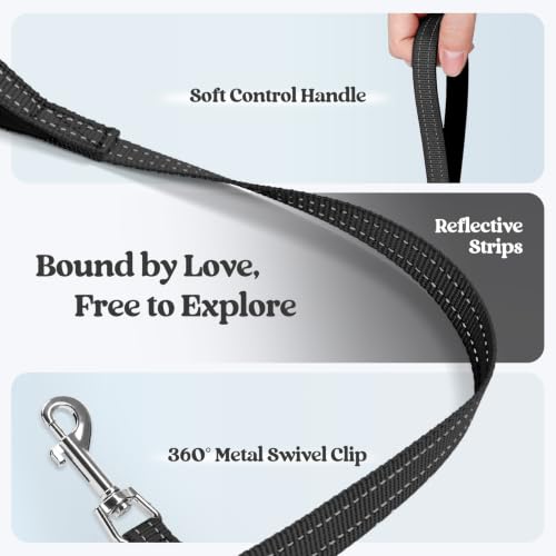 Dog Harness Medium Sized and Leash Set (Midnight Daisy / M (chest: 16 - 18.5"))