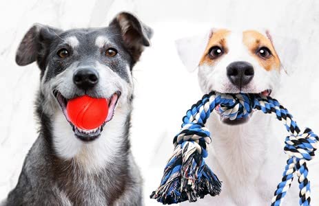 XL Dog Rope Toys for Aggressive CHEWERS (red, white, blue, orange / 4 Piece Set)