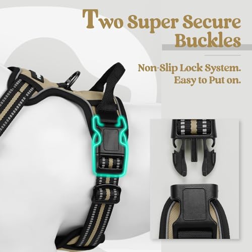 Dog Harness No Pull for Small Dogs with 2 Leash Clips (Small / Beige)