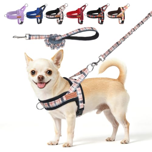 Small Dog Harness and Leash Set (Buffalo Beige / XS: Chest 15"-18")